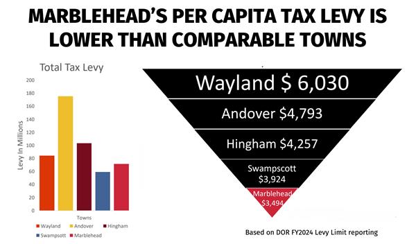 Per capita tax levy